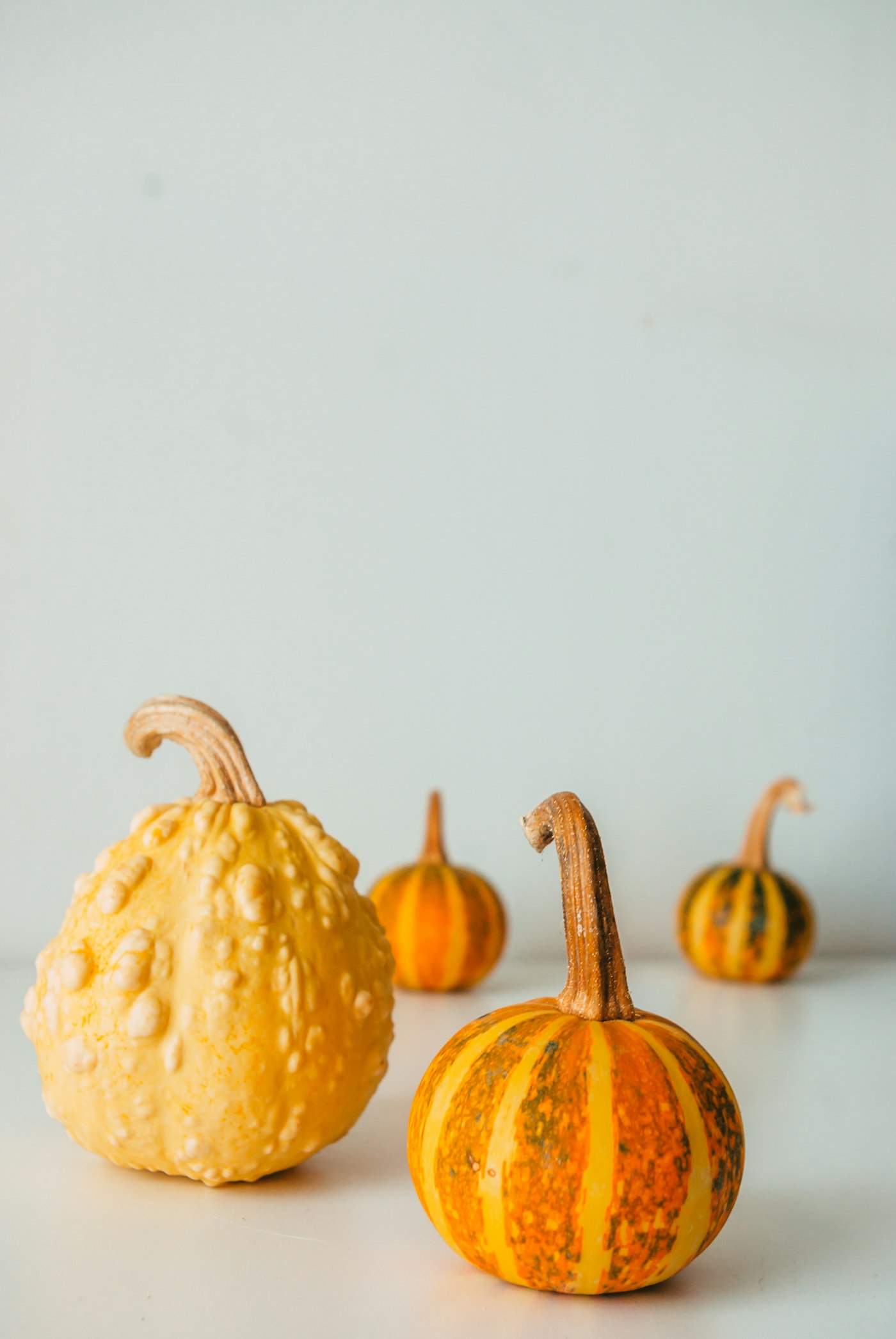 A big warty yellow gourd and three little orange and green striped pumpkins with curly stems on a white table