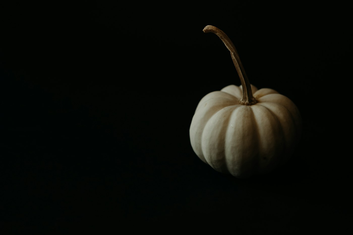 One small white pumpkin with a long curved stem on a plain black background