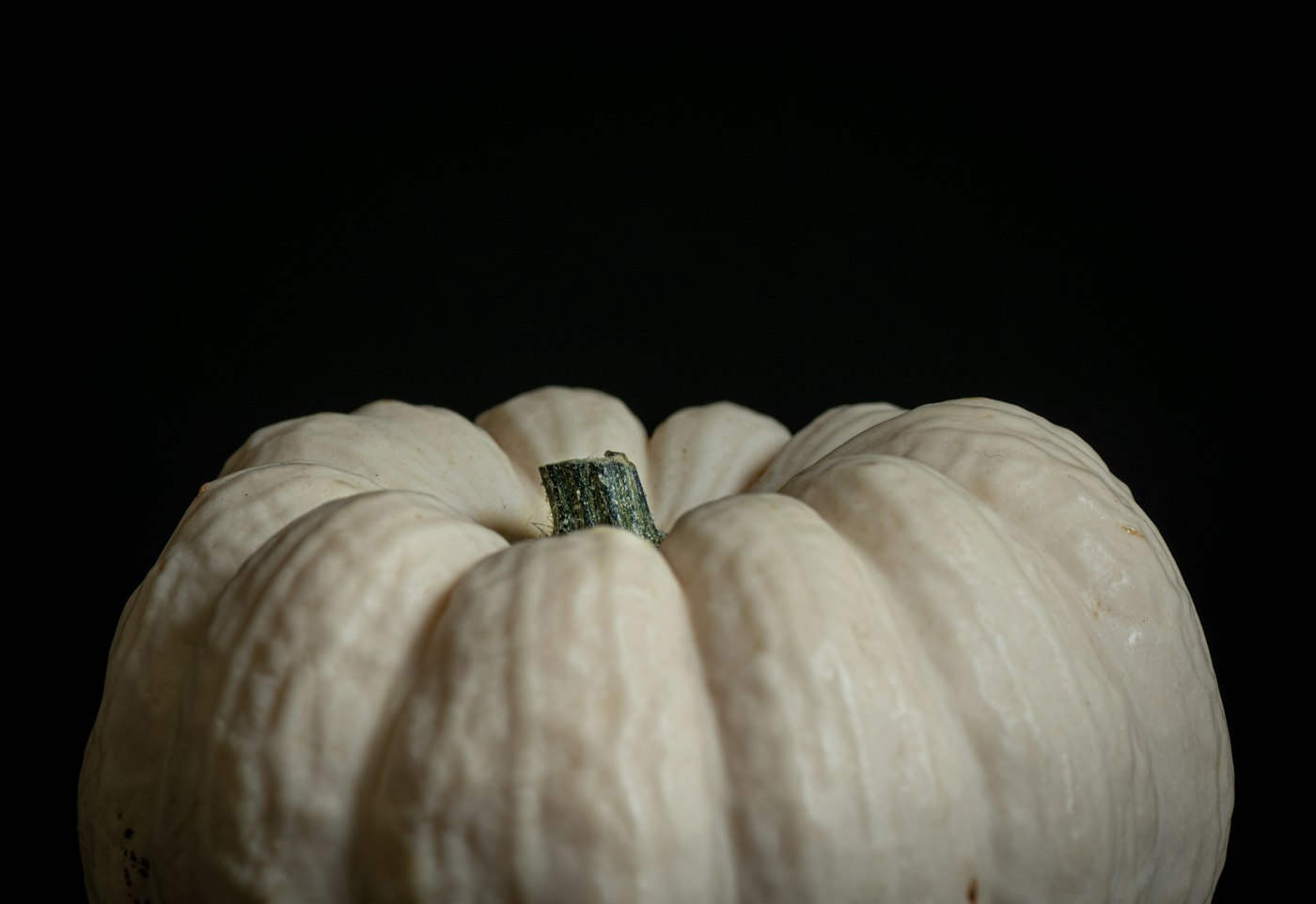 A single white pumpkin with a green stem against a black background