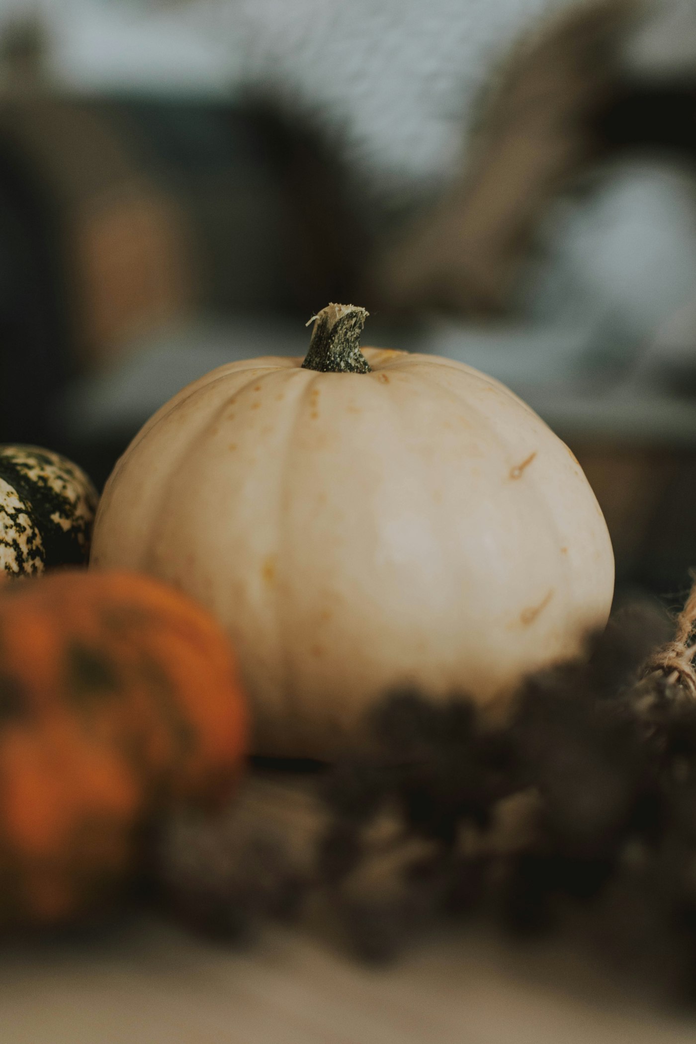 A creamy white pumpkin with little scuffs, a speckled gourd and an orange pumpkin blurred beside it