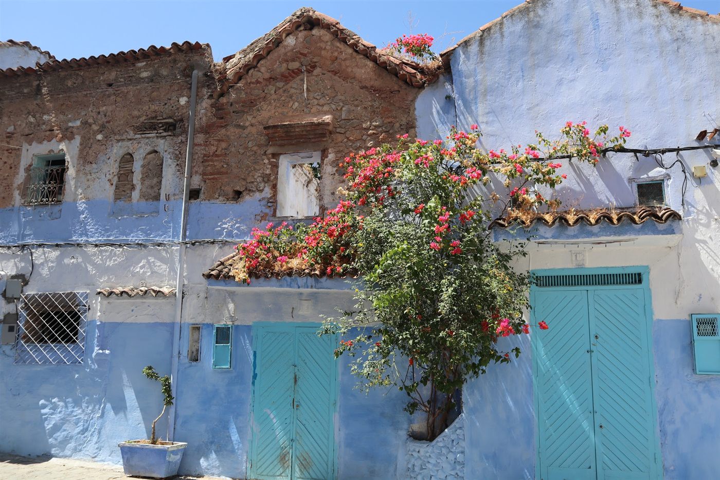 Teal doors and pink bougainvillea on a blue and white house in Chefchaouen